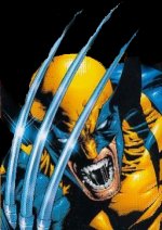 Wolverine2.jpg (11894 octets)