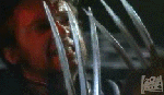 Wolvérine.gif (12382 octets)
